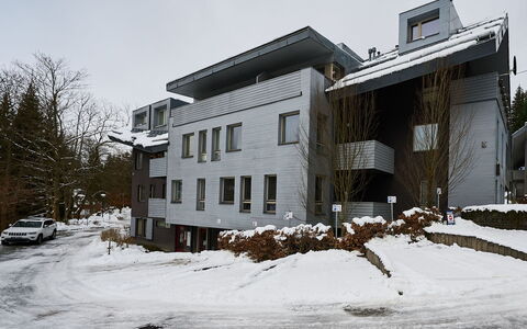 Harrachov: Bâtiment, Zone Résidentielle, Architecture, Domicile, Gelé, L'Hiver, Neige, Appartement, Pente, Biens