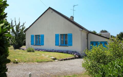 Colibri: Plante, Ciel, Bâtiment, Fenêtre, Maison, Arbre, Lot Terre, Chalet, Zone Résidentielle, Herbe
