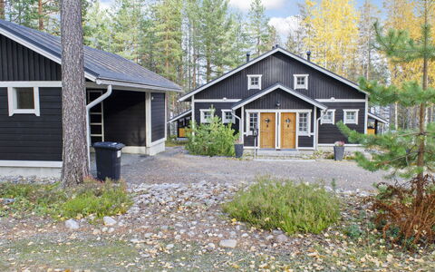 Koliwood B: Bois, Chalet, Cabane En Rondins, Forêt, Cabanon, Batiments Jardin, Mélèze, Des Bois, Tache De Bois