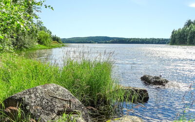 Käpälysmökki
