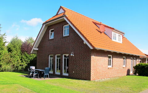 Katamaran Ii: Ciel, Bâtiment, Fenêtre, Plante, Nuage, Maison, Lot Terre, Chalet, Bois, Herbe