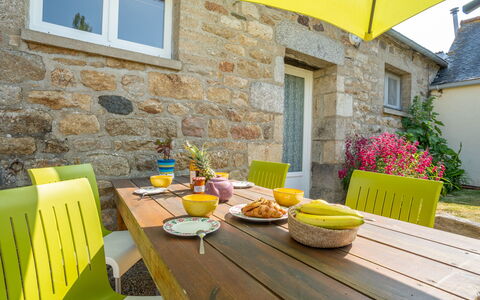 Les Azalées: Table, Plante, Meubles, Fenêtre, Propriété, Vaisselle, Bâtiment, Pot De Fleur, Jaune, Bois