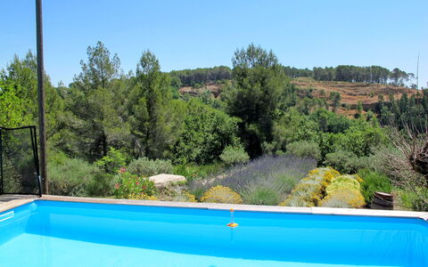 Les Oliviers: L'Eau, Ciel, Plante, Piscine, Chaise, La Nature, Bleu Azur, Bleu, Arbre, Ombre