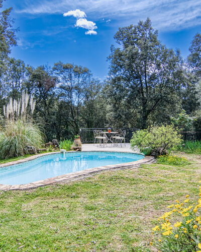 Chez Canard: L'Eau, Plante, Nuage, Ciel, La Nature, Fleur, Piscine, Arbre, Paysage Naturel, Herbe