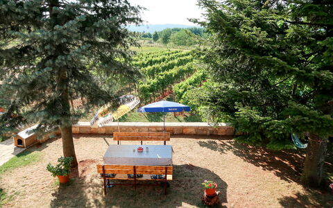 Labin 797: Propriété, Arbre, Réserve Naturelle, Immobilier, Maison, Table, Communauté Des Plantes, Zone Rurale, Meubles, Bâtiment