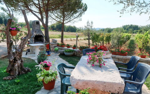 Labin 797: Jardin, Cour, Propriété, Arrière-Cour, Aménagement Paysager, Botanique, Arbre, Paysage, Plante, Fleur
