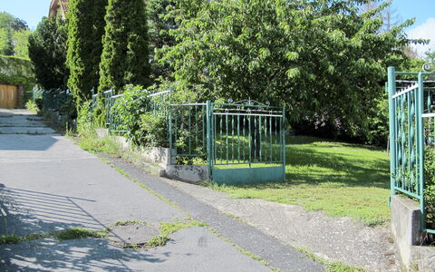 Csonka: Plante, Ciel, Ombre, Surface De La Route, Végétation, Lot Terre, Arbre, Asphalte, Design Urbain, Herbe