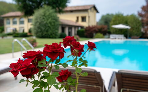 Villa Carlotta: Fleur, L'Eau, Plante, Ciel, Pétale, Fenêtre, Piscine, Arbre, Été, Bâtiment