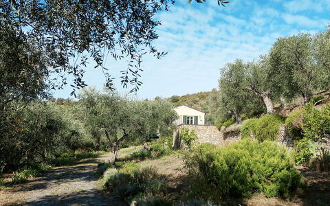Il Terebinto (Imp427): Plante, Ciel, Communauté Des Plantes, Nuage, Paysage Naturel, Fenêtre, Lot Terre, Arbre, Maison, Herbe