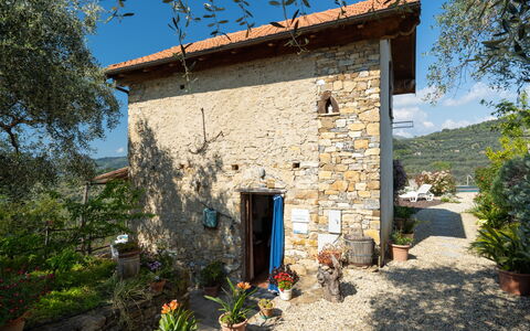 Casa U Baregu: Plante, Ciel, Propriété, Bâtiment, Bleu Azur, Arbre, Végétation, Porte, Chalet, Fenêtre