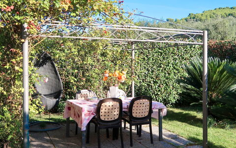 Roseto: Plante, Fleur, Meubles, Propriété, Communauté Des Plantes, Chaise, Ciel, Feuille, La Nature, Tableau De Plein Air
