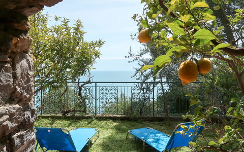 Orizzonte: Ciel, Plante, La Nature, Chaise, Arbre, Ombre, Biome, Herbe, Mobilier De Jardin, Paysage Naturel