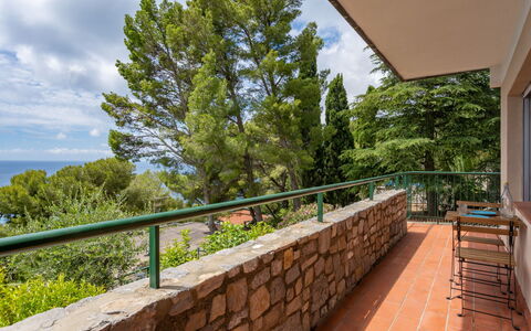 Orizzonte: Propriété, Immobilier, Mur, Maison, Balustrade, Arbre, Domicile, Bâtiment, Architecture, Biens