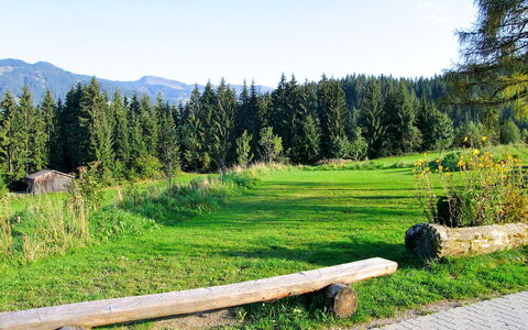 Schwalbenhof: Paysage Naturel, Région Sauvage, La Nature, Environnement Naturel, Prairie, Arbre, Montagne, Réserve Naturelle, Pâturage, Prairie