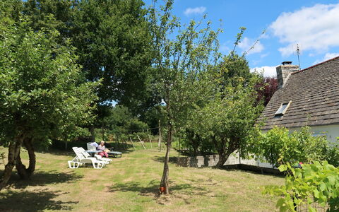 Pors Ar Goff: Arbre, Propriété, Lot Terre, Maison, Chalet, Suppression Des Plantes Ligneuses, Plante, Immobilier, Herbe, Zone Rurale