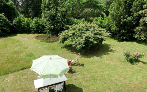 Les Genêts: Plante, Communauté Des Plantes, Arbre, Ciel, Ombre, Paysage Naturel, Prairie, Herbe, Couverture De Sol, Paysage