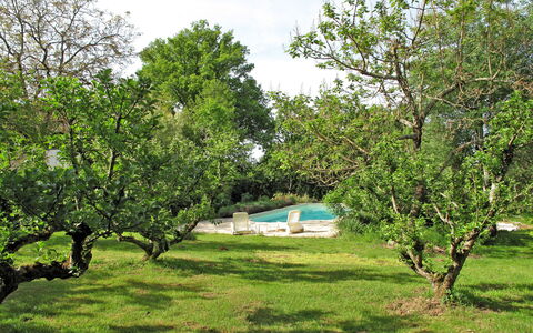 Peuchaud: Plante, Ciel, Communauté Des Plantes, Paysage Naturel, Ombre, Nuage, Lot Terre, Arbre, Herbe, Paysage