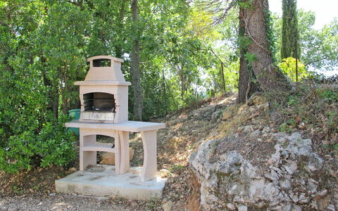 L'Esquirou: Plante, Communauté Des Plantes, Paysage Naturel, Arbre, Bois, Couverture De Sol, Paysage, Herbe, Arbuste, Tronc