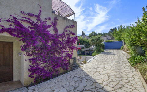 De Manou: Plante, Fleur, Nuage, Bâtiment, Propriété, Ciel, La Nature, Bleu Azur, Violet, Surface De La Route