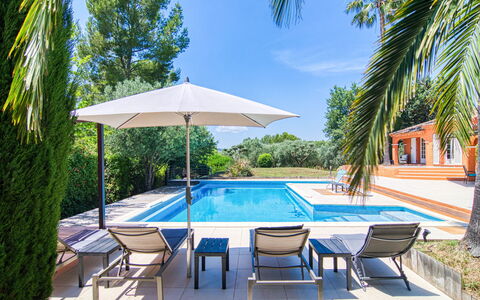 Micocoulier: Plante, Meubles, Propriété, Table, L'Eau, Piscine, Bleu Azur, Arbre, Parapluie, Ombre