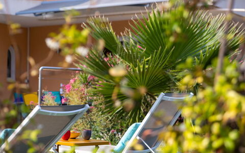 Plein Sud: Plante, Fenêtre, Bâtiment, Fleur, Feuille, Chaise, Maison, Arbre, Arecales, Herbe