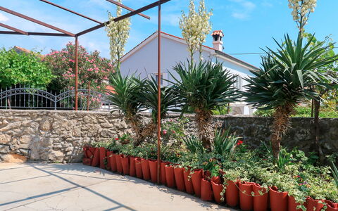 Mateja: Fleur, Ciel, Plante, Propriété, Communauté Des Plantes, Botanique, Nuage, Architecture, Végétation, Biome