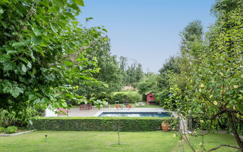 Dei Ciliegi: Plante, Ciel, Paysage Naturel, Botanique, Arbre, Végétation, Lot Terre, Ombre, Biome, Herbe