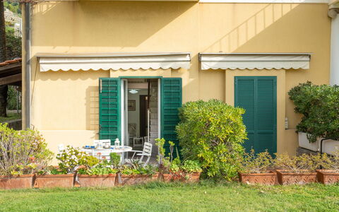 Botti: Plante, Bâtiment, Fenêtre, Porte, Maison, Lot Terre, Herbe, Chalet, Ombre, Siding