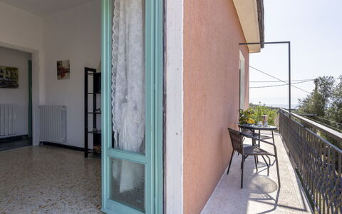 Carleadri: Bois, Ombre, Porte, Sol, Plante, Sol, Ciel, Automotive Exterieur, Arbre