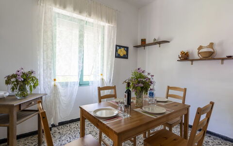 Carleadri: Table, Fleur, Plante, Propriété, Meubles, Fenêtre, Bois, Plante D'Appartement, Design Intérieur, Pot De Fleur