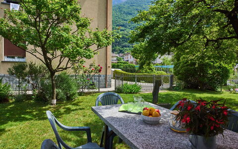 Punto Lago: Plante, Table, Meubles, Propriété, Bâtiment, Botanique, La Nature, Vert, Feuille, Fenêtre