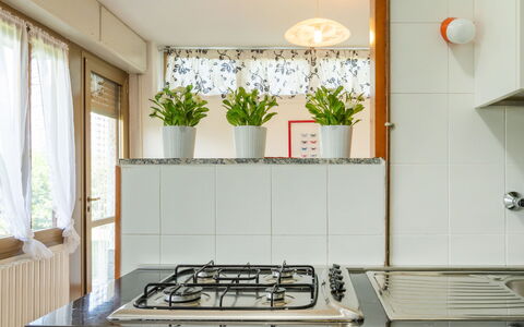 Gelsomino (Cco115): Plante, Propriété, Fenêtre, Gaz Poele, Plante D'Appartement, Cooktop, Pot De Fleur, Bâtiment, Cuisinière, Appareil De Cuisine