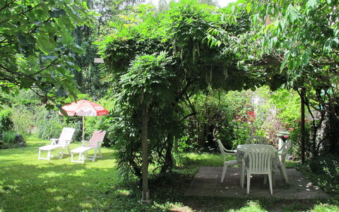 Angeli: Plante, Meubles, Communauté Des Plantes, Vert, Arbre, Paysage Naturel, Chaise, Ombre, Herbe, Lot Terre