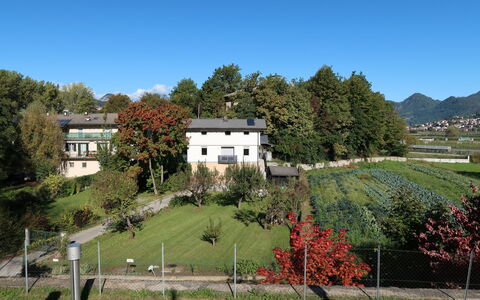 Angeli: Plante, Bâtiment, Ciel, Paysage Naturel, Arbre, Fenêtre, Maison, Lot Terre, Végétation, Herbe