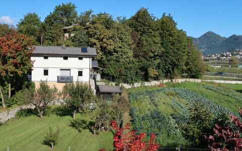 Angeli: Plante, Ciel, Bâtiment, Fleur, Arbre, Fenêtre, Paysage Naturel, Végétation, Maison, Lot Terre