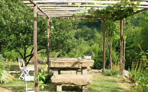 Casa Lienartova: Plante, Communauté Des Plantes, La Nature, Ombre, Végétation, Herbe, Arbre, Biome, Bois, Pergola