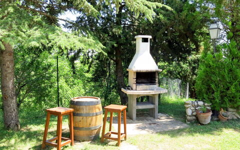Il Noceto: Arbre, Botanique, Jardin, Herbe, Cour, Arrière-Cour, Plante, Paysage, Maison, Forêt