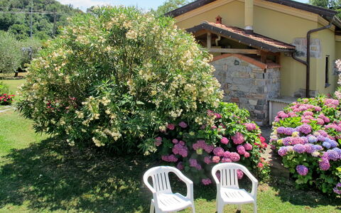 Villetta Luciana: Propriété, Jardin, Maison, Fleur, Chalet, Cour, Plante, Immobilier, Domicile