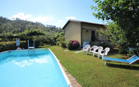 Villetta Luciana: Nuage, L'Eau, Ciel, Propriété, Plante, Piscine, Bâtiment, Fenêtre, Bleu Azur, Bleu
