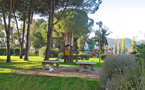Italia: Paysage Naturel, Arbre, Espace Public, Botanique, Parc, Herbe, Jardin, Loisir, Des Loisirs, Jardin Botanique