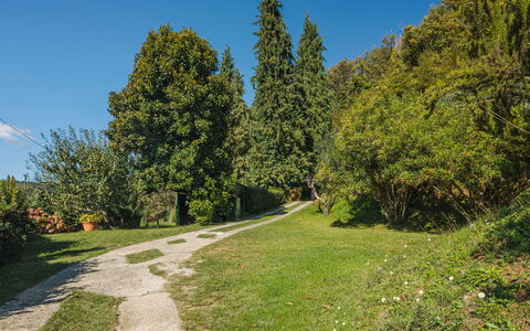 Brugiana: Bois, Éclairage, Design Intérieur, Sol, Sol, Salon, Immobilier, Dur, Table, Faisceau