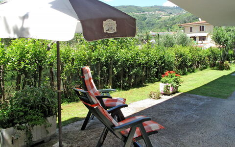 Mandarino: Plante, Communauté Des Plantes, Ciel, La Nature, Bâtiment, Ombre, Chaise, Mobilier De Jardin, Herbe, Tableau De Plein Air