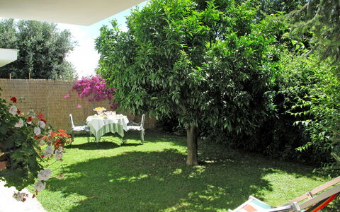 Mandarino: Plante, Propriété, Communauté Des Plantes, Vert, Bateau, Chaise, Ombre, Végétation, Lot Terre, Fleur