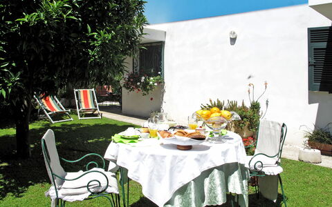 Mandarino: Propriété, Nappe De Table, Table, Arrière-Cour, Herbe, Maison, Cour, Meubles, Repas, Pelouse