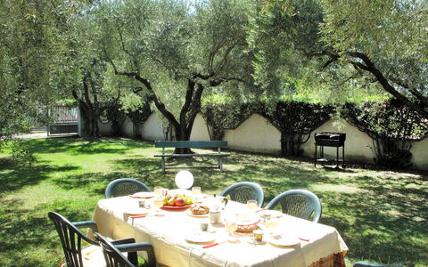 Wilma: Table, Plante, Meubles, Vaisselle, Chaise, La Nature, Botanique, Arbre, Tableau De Plein Air, Mobilier De Jardin