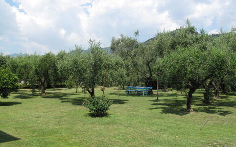 Wilma: Nuage, Ciel, Plante, Paysage Naturel, Arbre, Ombre, Herbe, Plaine, Loisir, Cumulus
