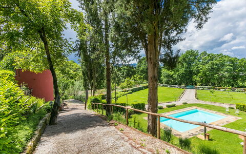 L'Orlo del Bosco: Plante, L'Eau, Ciel, Ombre, Paysage Naturel, Nuage, Arbre, Lot Terre, Piscine, Herbe