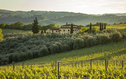 Podere San Michele: Plante, Ombre, Mobilier De Jardin, Arbre, Architecture, Immobilier, Loisir, Confort, Balancelle, Teintes Et Ombres
