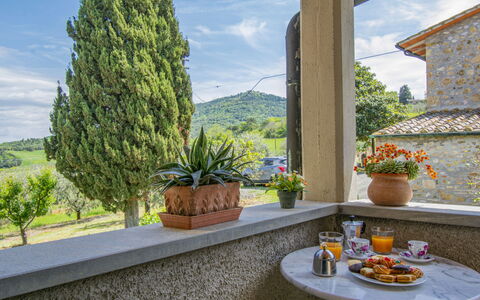 Il Sorbo: Nuage, Ciel, Plante, Propriété, Pot De Fleur, Vaisselle, Fenêtre, Plante D'Appartement, Bleu Azur, Table
