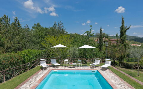 Villa del Poggio: L'Eau, Plante, Nuage, Ciel, Propriété, Meubles, Piscine, Parapluie, Arbre, La Nature